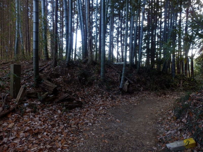 竹林のある峠を越える