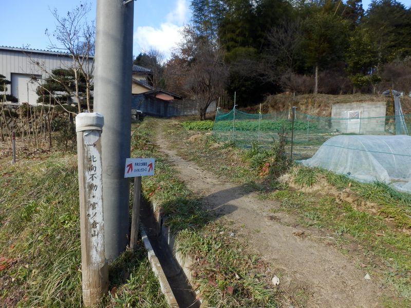 この道を下りて来た