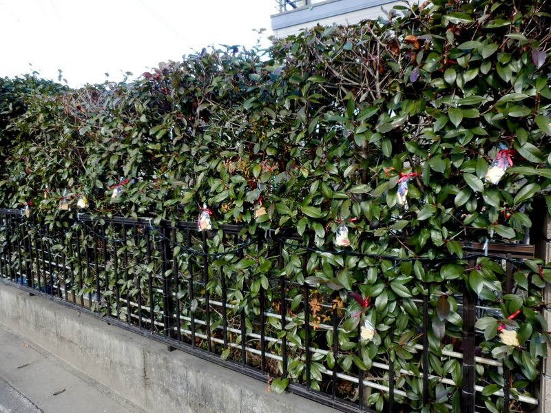 生垣にクッキー