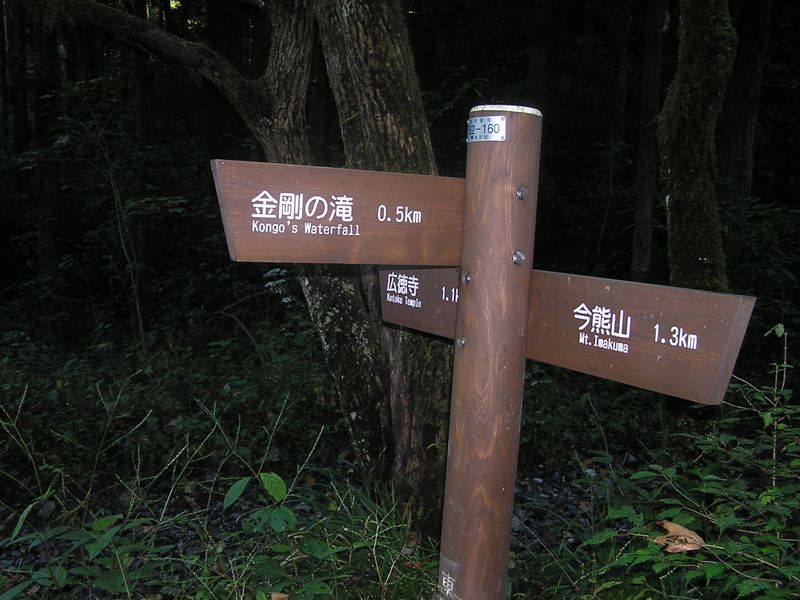 刈寄山 -- 谷を折りきったところ