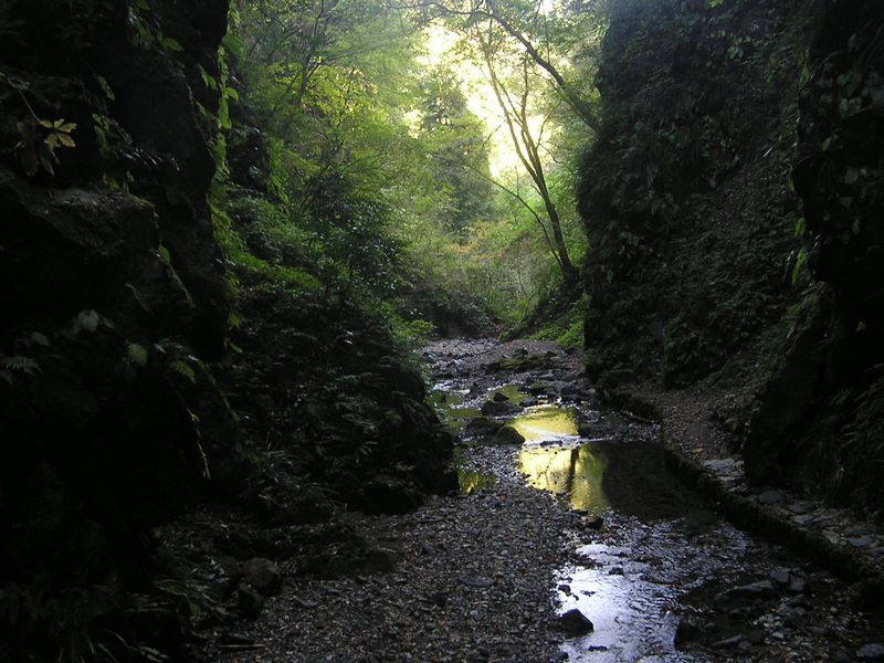 刈寄山 -- 金剛ノ滝を出て、河原に戻る