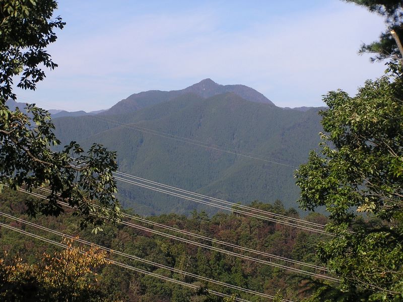 刈寄山 -- 刈寄山登山路より、大岳山を望む