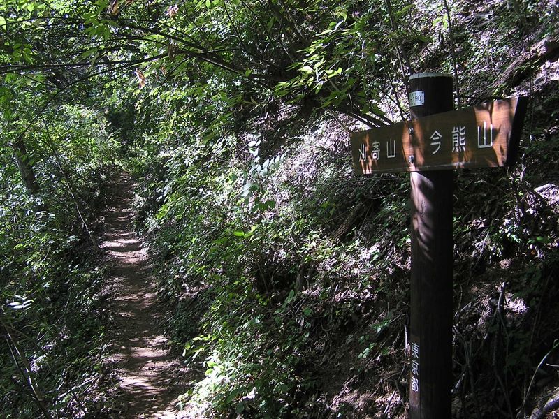 刈寄山 -- 日が差して明るい。快調に歩ける