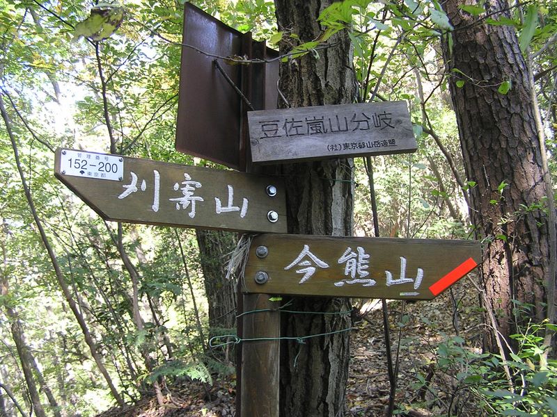 刈寄山 -- この分岐で斜め右奥から古い道（縦走路）を合わせる