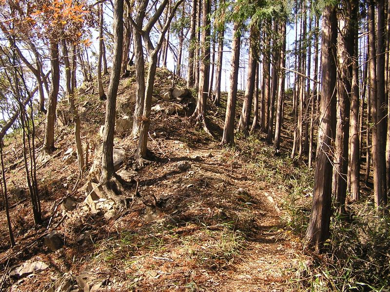 刈寄山 -- いくつもある小ピークの一つ