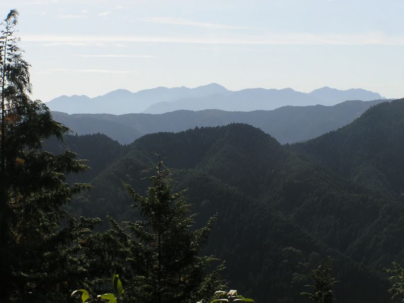 刈寄山 -- 刈寄山より、丹沢を望む