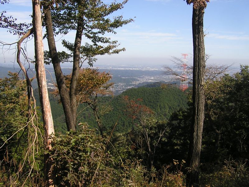 刈寄山 -- 刈寄山より、あきる野市街地を望む