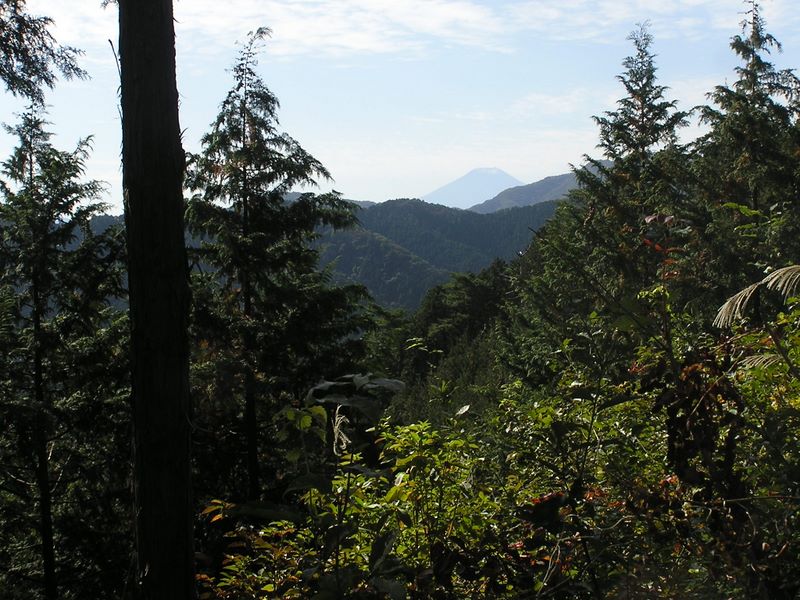 刈寄山 -- 刈寄山より、富士山を望む