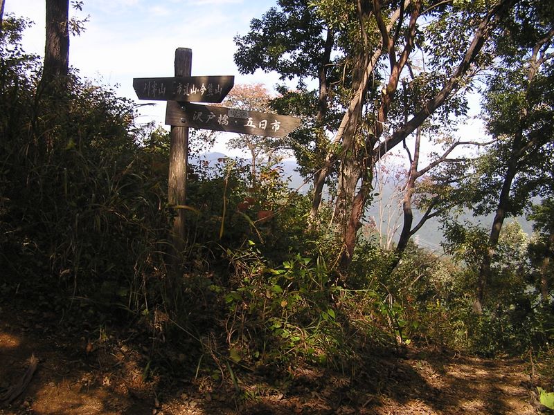 刈寄山 -- これより、沢戸橋に向かって下山する