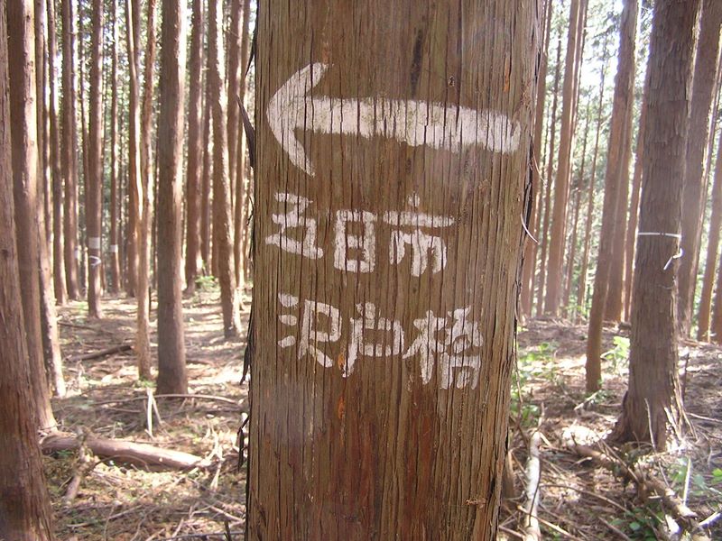 刈寄山 -- 奥の白ペンキが登山路と紛らわしいので、立ち木に矢印が描いてある
