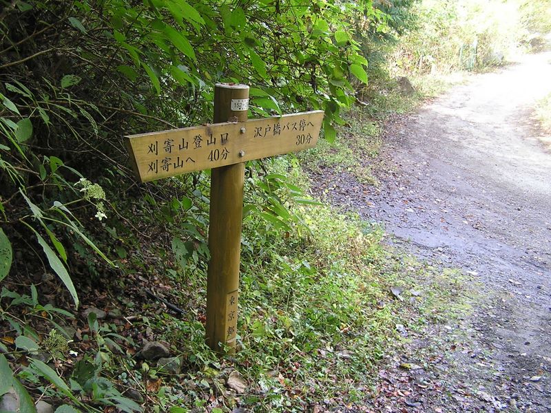 刈寄山 -- ここから林道を歩く