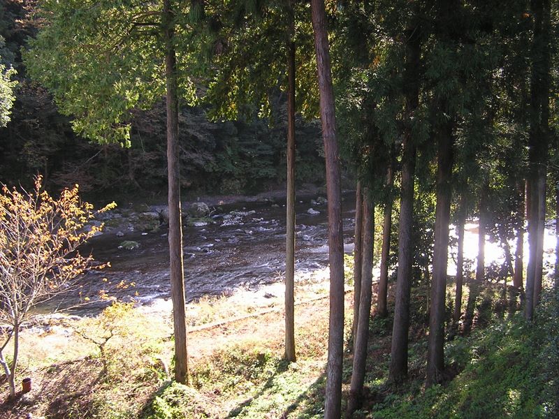 刈寄山 -- 檜原街道から下の道に降りて