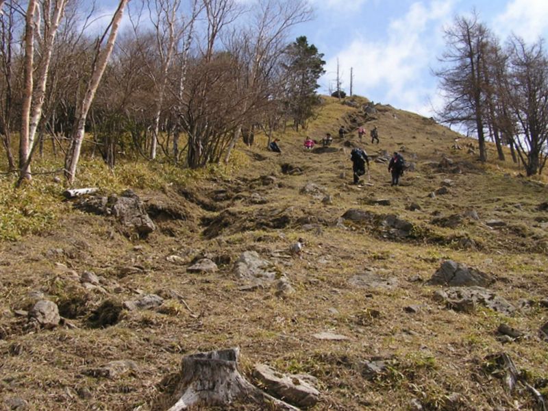 笠取山 -- 中腹あたりより