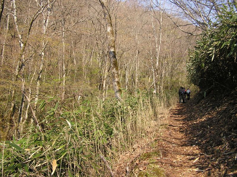 笠取山 -- どなたか、笹を刈ってくださった方に感謝したい