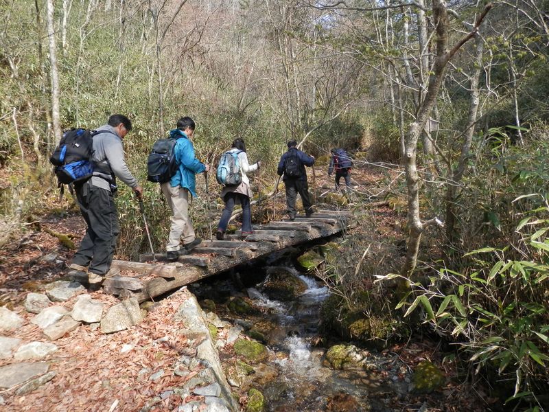 笠取山 -- ヤブ沢は、まさに笹薮の中を流れる沢だ