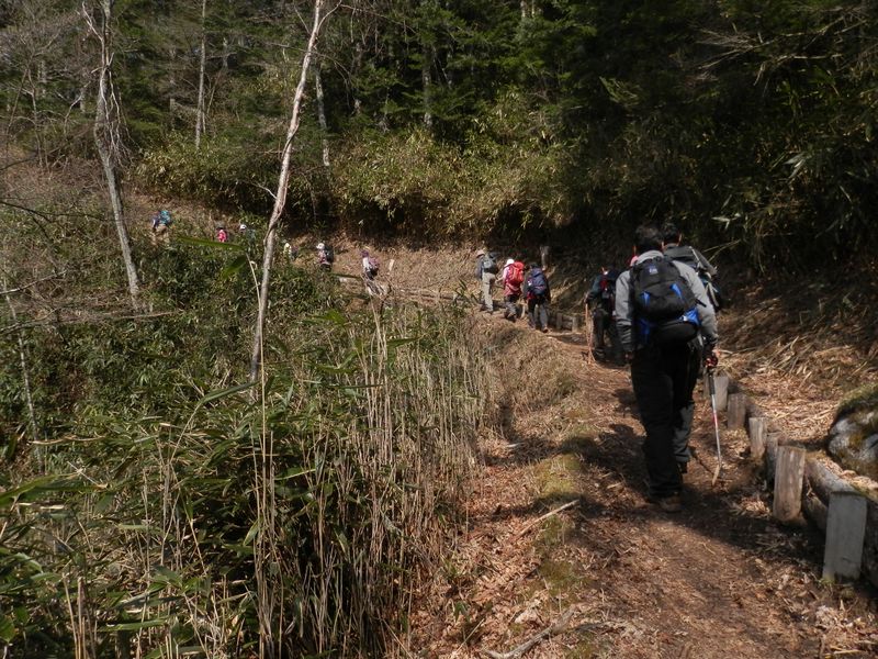 笠取山 -- こんな歩きやすい登山路はめったにない