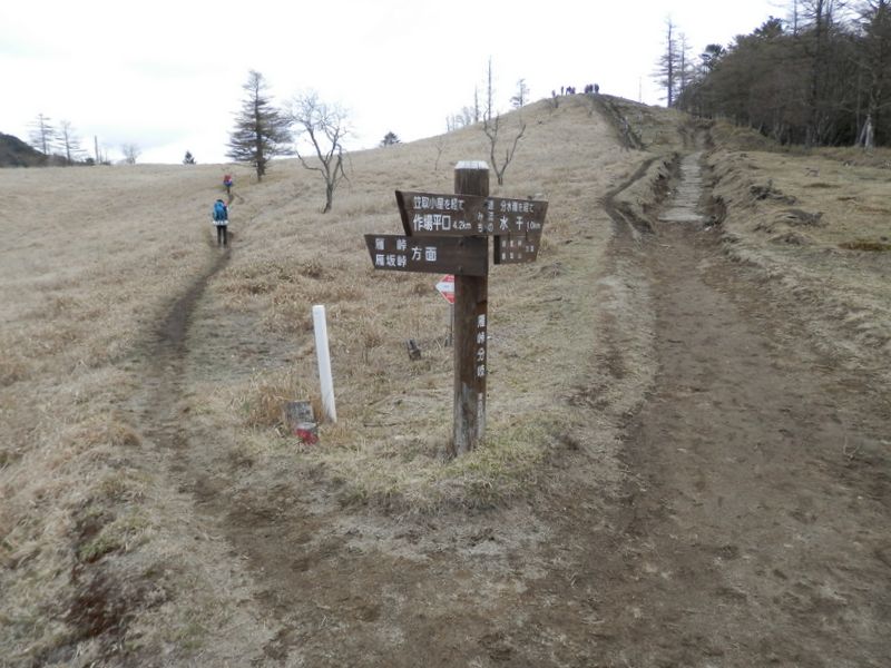 笠取山 -- 雁坂分岐