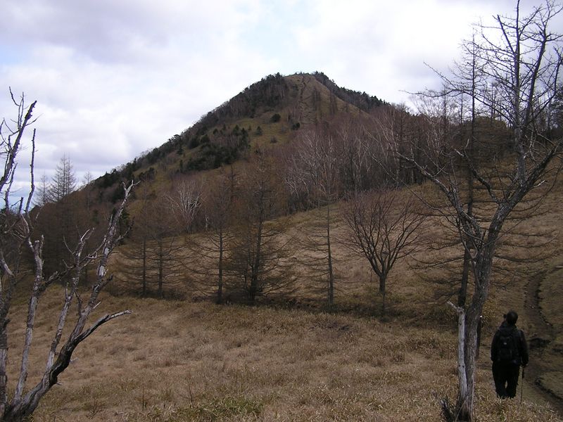 笠取山 -- 笠取山の急登を目の前に