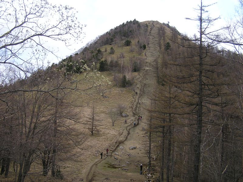 笠取山 -- 笠取山頂へは、なるべくジグザグ道を