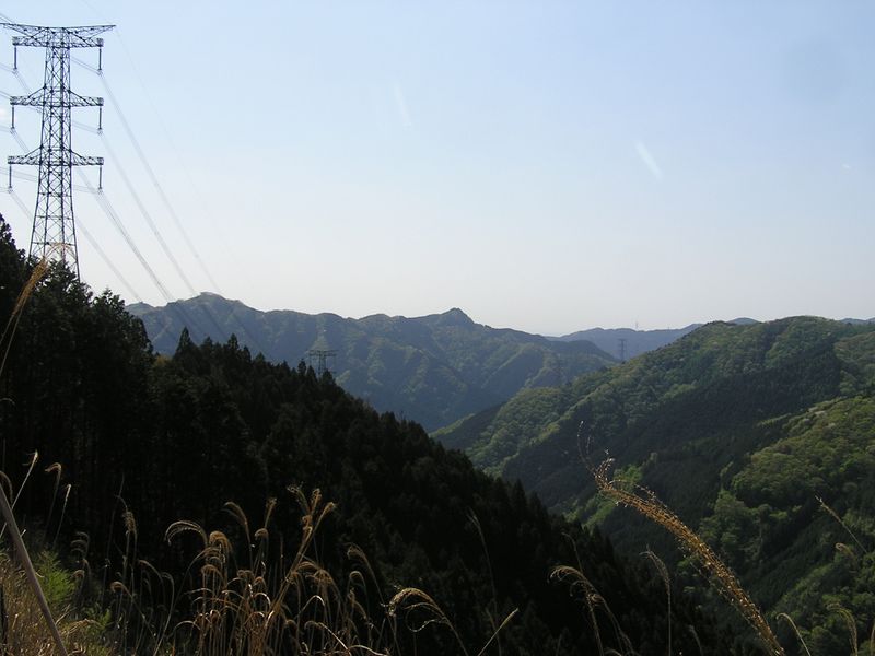 川苔山 -- 伐採地より、高水三山を望む
