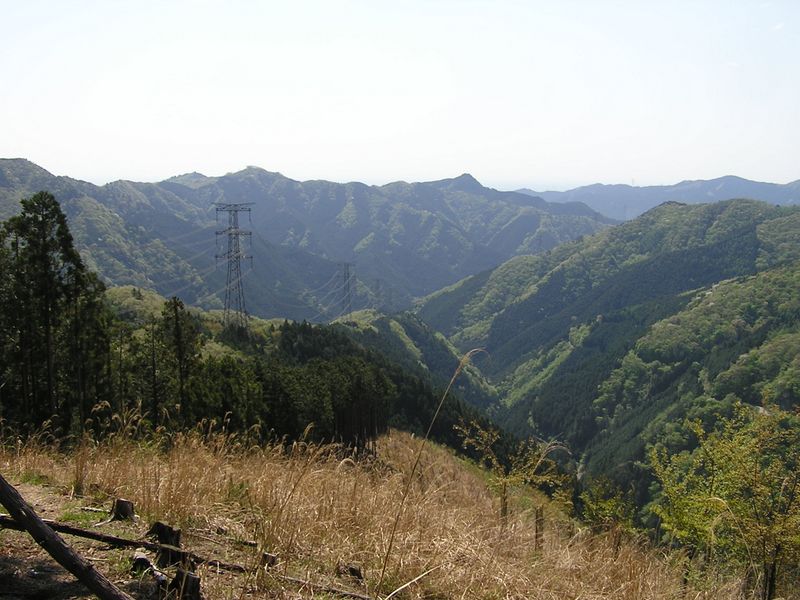 川苔山 -- 伐採地より、真名井北稜に立つ送電鉄塔