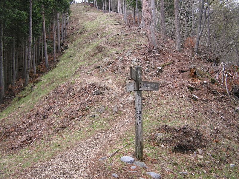 川苔山 -- 十字路。右は獅子口・大丹波へ、左は本仁田山・鳩ノ巣へ、直進は川苔山へ