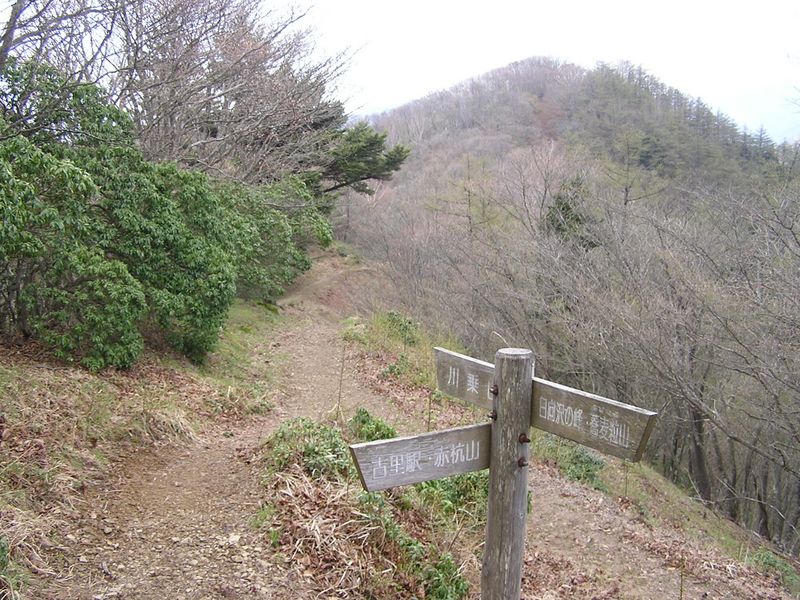 川苔山 -- やっと川苔山の頂上が見えた