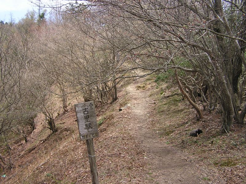 川苔山 -- 古里駅に至るには、赤杭尾根を下る