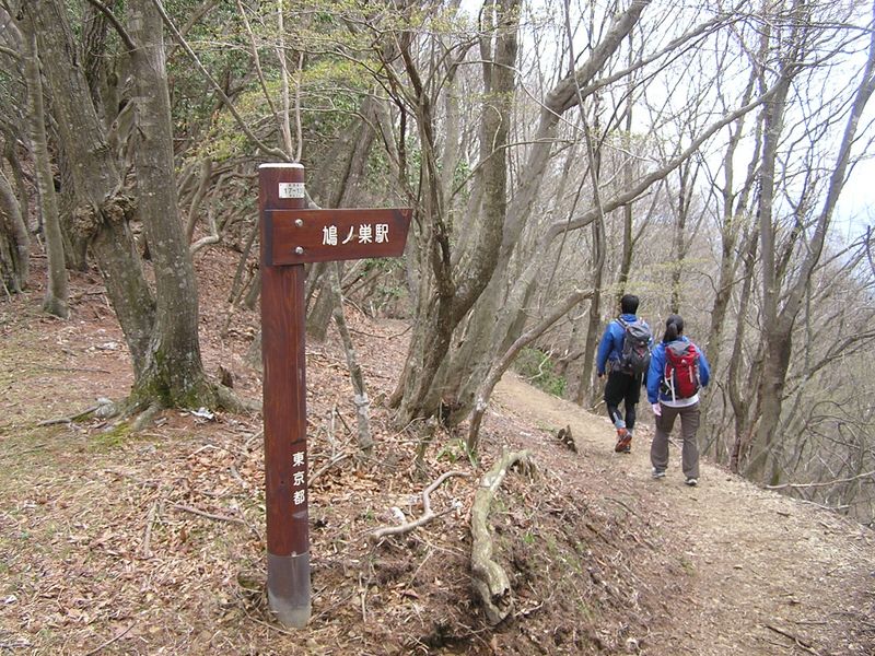 川苔山 -- 下山の最短ルートは、鳩ノ巣駅へ