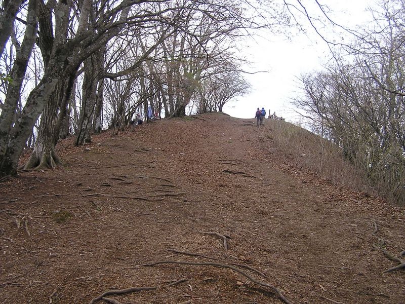 川苔山 -- あそこが川苔山頂