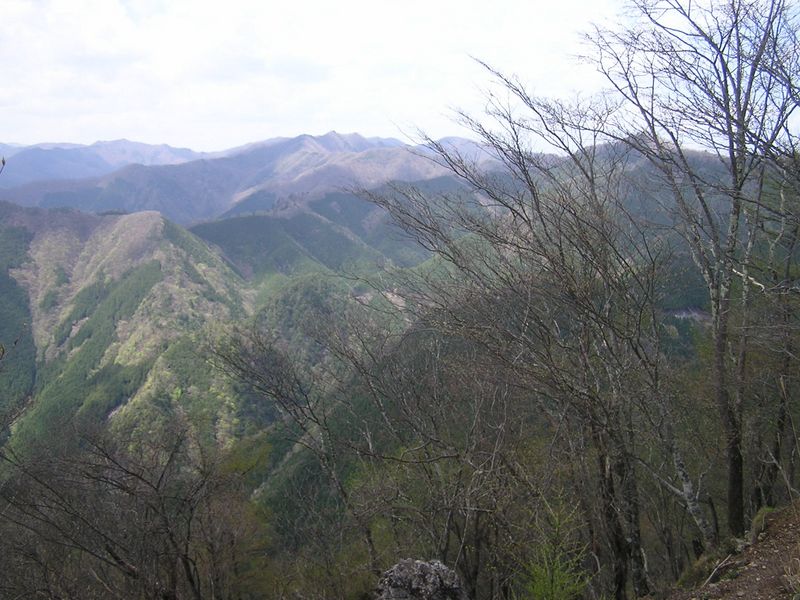 川苔山頂より、長沢背稜を望む