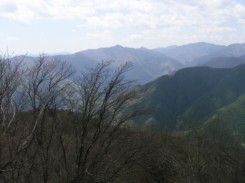 川苔山頂より、雲取山、鷹ノ巣山、大菩薩嶺を望む