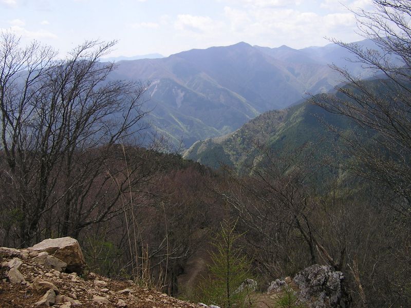 川苔山 -- 川苔山頂より、足毛岩の肩に通じる道。正面は鷹ノ巣山