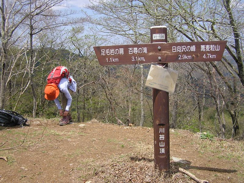 川苔山 -- 足毛岩、大ダワへは通行できません、と書いてあった