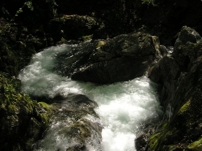 川苔山 -- ここは流れが激しく、水も真っ白
