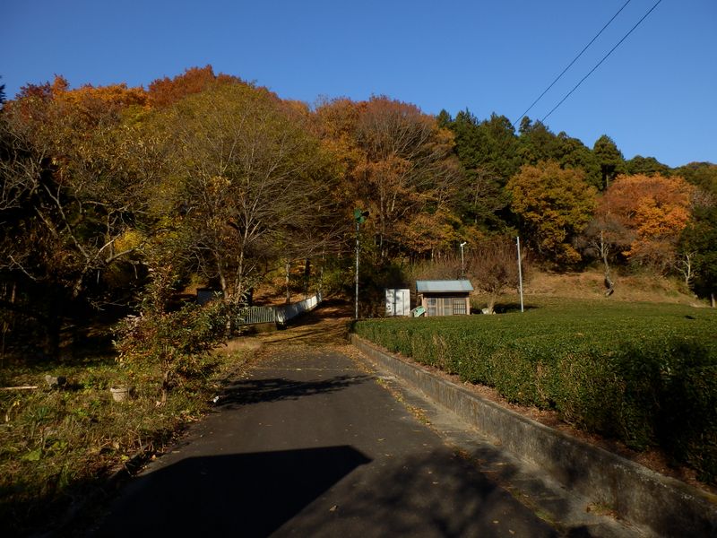 華厳山南尾根登山口