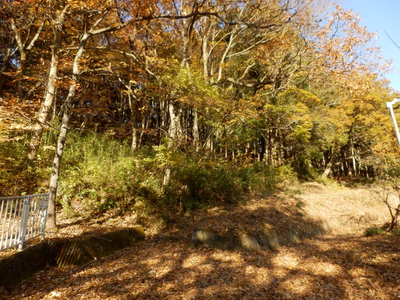 華厳山南尾根取り付き