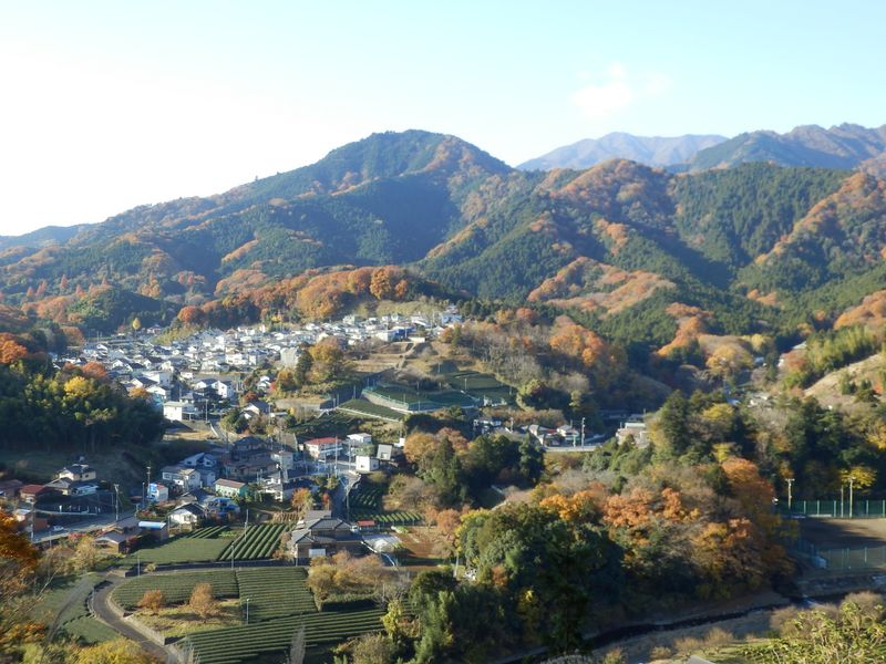 大山、鐘ヶ嶽、清水ヶ丘団地など