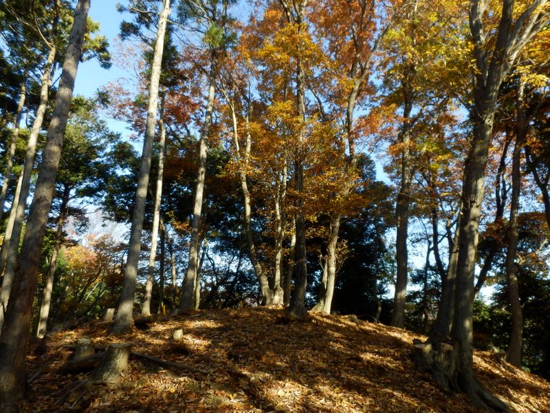 最初の小さな高み