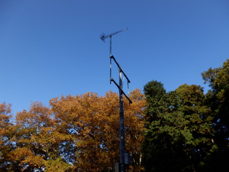 共同受信アンテナ