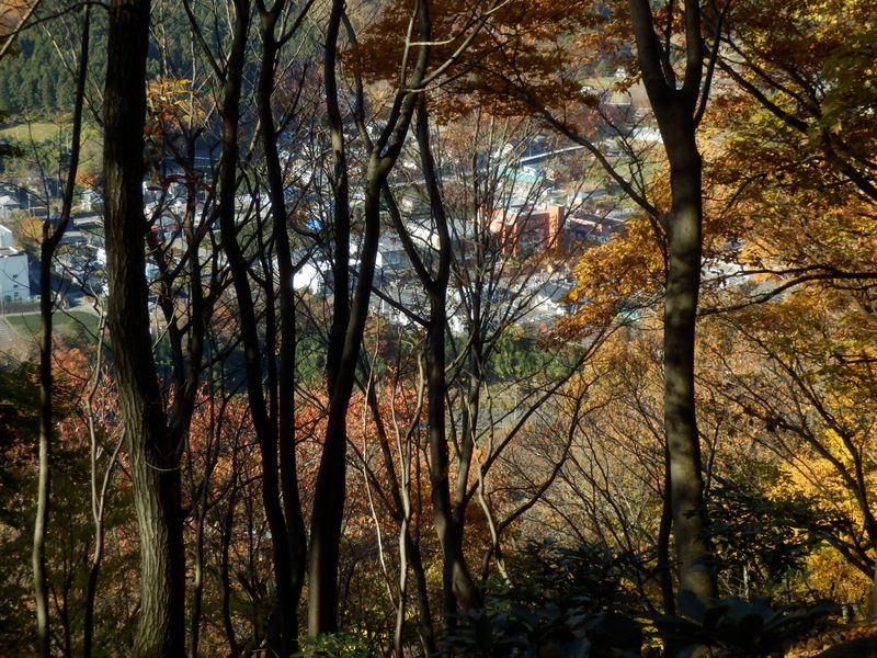 清川村役場が見える