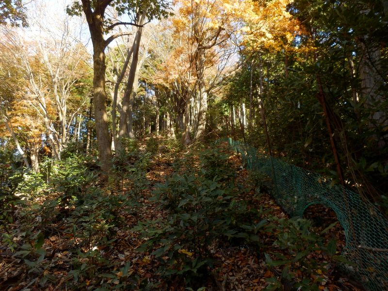 尾根の勾配が急になった