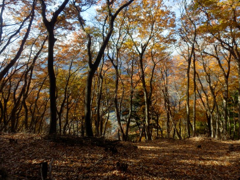 尾根が平坦になる