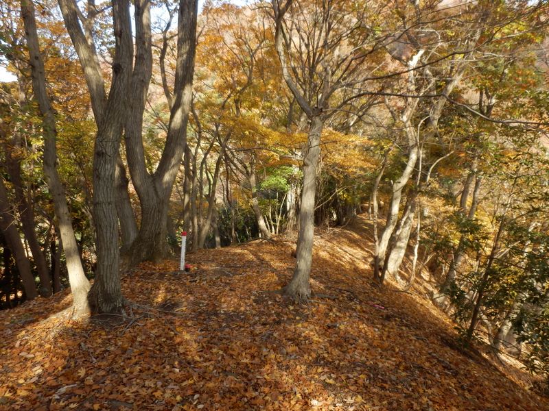 すてきな尾根道