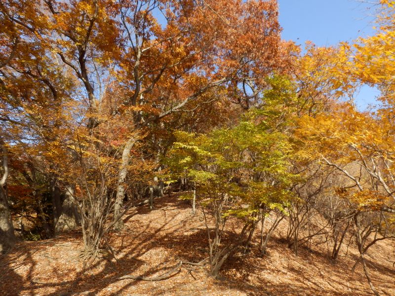 楽園にいる気分