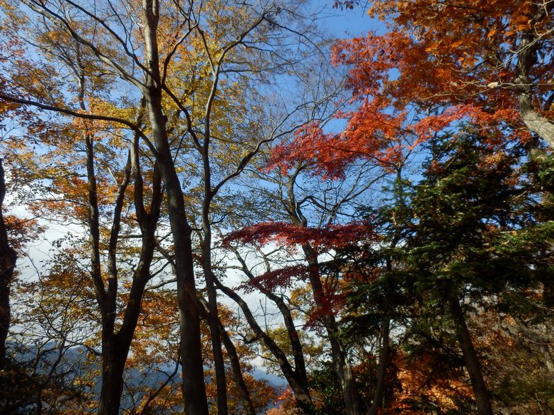 丹沢主脈方面は雲に覆われたようだ