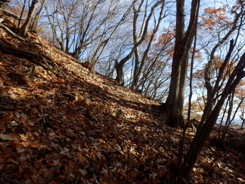 この程度の勾配なら楽に登れる