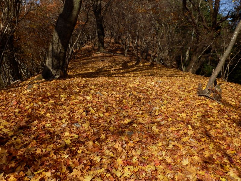 王様の道みたい