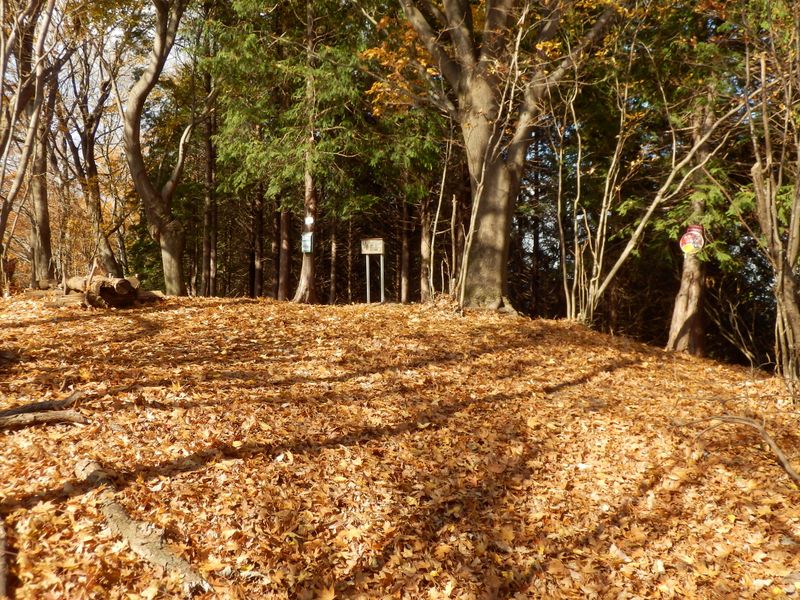 華厳山頂に到着