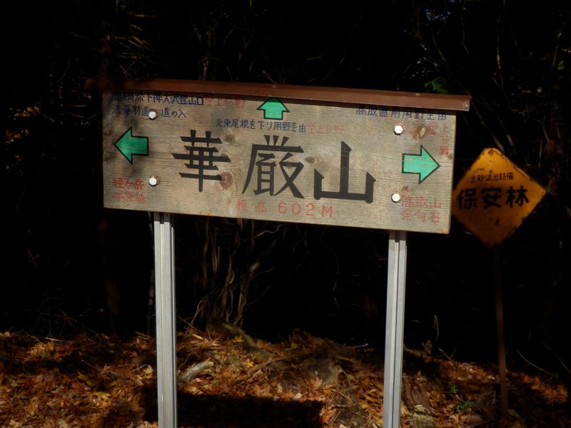 この山の華は、美しさと厳しさだった。